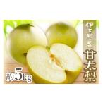 ふるさと納税 梨 佐賀県 伊万里市 2025年産先行予約 伊万里梨 「甘太」 約5kg ご自宅用におすすめ 178-B762
