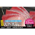 旬の鮮魚等 12キロ台 壱岐島産 天然寒ブリ