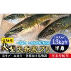 旬の鮮魚等 13キロ台 11 1~1 15お届け