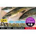 旬の鮮魚等 14キロ台 11 1~1 15お届け