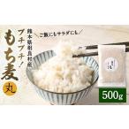 雑穀 プチプチ もち麦 丸 500g