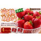ふるさと納税 いちご 福岡県 香春町  訳あり 完熟あまおう 4パック 合計約1.1kg 2026年3月下旬出荷予定 いちご 苺 イチゴ 果物 フルーツ