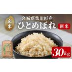 ふるさと納税 米 ひと