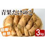 朝堀り青果たけのこ 約3kg