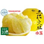 ふるさと納税 みかん・柑橘類 高知県 土佐市  2026年1月下旬より順次発送 土佐文旦 小玉 家庭用 10kg 23~29玉入り M~Lサイズ 先行予約 文旦 ぶんたん ブンタン…