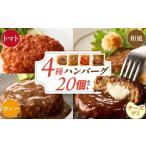 ふるさと納税 肉 ハンバーグ 福岡県 久留米市 ハンバーグ食べ比べ20個セット_4種 20個 チーズデミ 和風 トマトソース カレーソース ハンバーグ 各5個 冷凍 温…