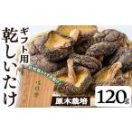 ふるさと納税 野菜類 きのこ 鹿児島県 曽於市 ギフト用 乾しいたけ (120g) シイタケ きのこ 常温 九南サービス(タマチャンショップ) A740