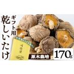 ふるさと納税 野菜類 きのこ 鹿児島県 曽於市 ギフト用 乾しいたけ (170g) シイタケ きのこ 常温 九南サービス(タマチャンショップ) A741
