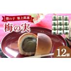 ふるさと納税 和菓子 福岡県 築上町 老舗の菓子屋 築上銘菓「 梅の実 」12 個《築上町》 有限会社 御菓子司 鹿の子 ABAC019