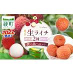 果物類 希少 綾 生ライチ 2種