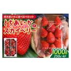 とちあいか 合計1 000g