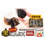 野菜類 ジャンボ黒にんにく 500g