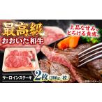 牛肉 サーロイン おおいた和牛 サーロインステーキ 計400g