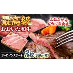 牛肉 サーロイン おおいた和牛 サーロインステーキ 計600g
