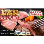 牛肉 サーロイン おおいた和牛 サーロインステーキ 計1kg