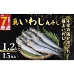 干物 イワシ \最短7営業日以内発送 いわし