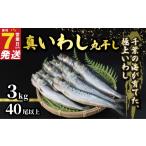 干物 イワシ \最短7営業日以内発送 いわし
