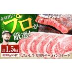 牛肉 ステーキ 牧場直送 産しろいし牛 厚切りステーキ