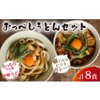 ふるさと納税 うどん 生・半生めん 