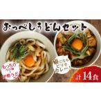 ふるさと納税 うどん 生・半生めん 