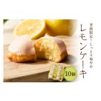 ケーキ カステラ マロンケーキ10個セット 10個