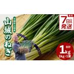 fu.... налог овощи вид лук порей Kyoto (столичный округ) дерево Цу река город скорость отправка самый короткий 7 дней в течение отправка гора замок. лук порей 1kg столица овощи лук-батун гора замок. лук порей Kyoto (столичный округ) дерево Цу река город лук порей . Kyoto (столичный округ) производство овощи 0...