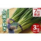 fu.... налог овощи вид лук порей Kyoto (столичный округ) дерево Цу река город скорость отправка самый короткий 7 дней в течение отправка гора замок. лук порей 3kg столица овощи лук порей гора замок. лук порей Kyoto (столичный округ) дерево Цу река город лук порей 001-14-S