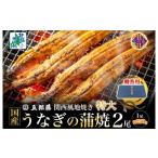 ふるさと納税 うなぎ 大阪府 泉佐野市  7／26土用の丑の日 五郎藤 関西風地焼き 国産有頭旨鰻 250g×2尾 計約500g 贈答用 特大 うなぎ ウナギ 蒲焼き 炭火