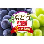 果物の詰合せ ぶどう満足 3回定期便 フルーツ定期便
