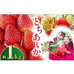 いちご とちあいか約1kg とちあいか フルーツ