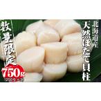 ふるさと納税 魚貝類 ホタテ 北海道 寿都町 750g 鮮度の3D凍結 北海道産天然お刺身ほたて(YS047)