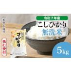 ふるさと納税 無洗米 山形県 大蔵村 令和7年産米先行受付 大蔵村産 こしひかり 無洗米 5kg (5kg×1袋) 配送時期選べます