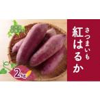 野菜類 サツマイモ 新しのつ産 さつまいも