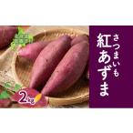 野菜類 サツマイモ 新しのつ産 さつまいも