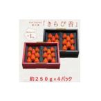 ふるさと納税 いちご 静岡県 掛川市 先行受付 いちご きらぴ香 1箱 (1箱4パック入り 約250g×4) 1634075