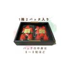 ふるさと納税 いちご 静岡県 掛川市  先行受付 いちご きらぴ香 1箱 (1箱2パック入り 約250g×2) 1634076