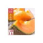 ふるさと納税 メロン 北海道 富良野市 糖度15度前後 富良野メロン 2Lサイズ (1.5kg前後) 1玉入_メロン フルーツ 果物 くだもの 富良野 北海道 人気 おすすめ …