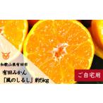 ふるさと納税 果物類 みかん 和歌山県 有田市  1月お届け 有田みかん「風のしるし」（約5kg）(A1051-1)