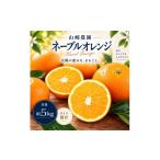 果物類 みかん ネーブルオレンジ 約5kg