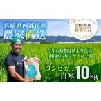 ふるさと納税 米 コシヒカリ 宮崎県 西都市 令和7年産新米・先行予約 こしひかり 10kg 8月上旬以降順次発送予定 精米済み 新米 こしひかり お米 精米 10キロ …