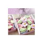 焼菓子 チョコレート クッキー 季節のかわいいメレンゲクッ…