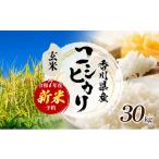 ふるさと納税 米 コシヒカリ 香川県 東かがわ市 No.4631-2725 令和7年産 新米「コシヒカリ」30kg(玄米)お米 30kg