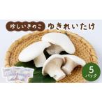 fu.... налог овощи вид .. . Fukuoka префектура большой дерево блок необычный .. .. красивый ..AT19