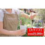 花 季節の寄せ植え 大サイズ 季節のお花 造園
