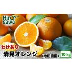 みかん 柑橘類 オレンジ 清見 10kg+250g