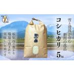 ふるさと納税 米 コシ