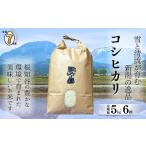ふるさと納税 米 コシヒカリ 新潟県 糸魚川市 2025年10月下旬初回発送 令和7年産新米予約 定期便 新潟県糸魚川産コシヒカリ 5kg×6ヶ月 計30kg 2025年産 根知…
