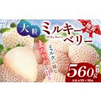 ふるさと納税 いちご 栃木県 真岡市 12月発送 希少な白いちご ミルキーベリー いちご ギフト|280g×2p 12月 贈答品 プレゼント 新鮮 完熟 いちご 旬 スカイ…
