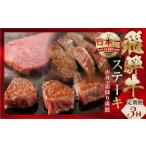 牛肉 ステーキ 定期便 A5 飛騨牛 ステーキ定期便