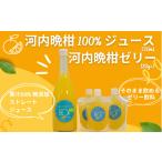 ふるさと納税 果汁飲